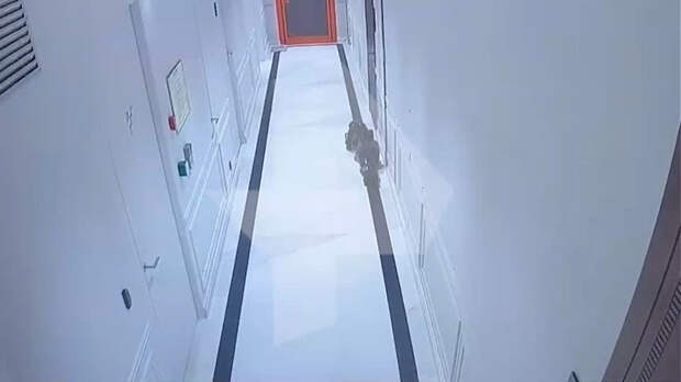 Место суицида бизнесмена Джабраилова попало на видео