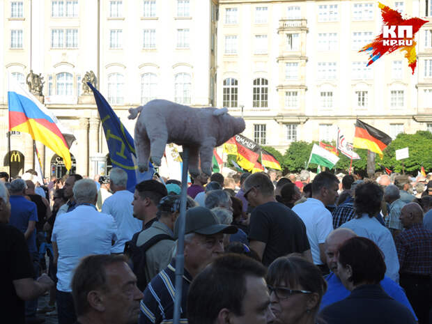 Люди несут на митинг плюшевых свиней как символ протеста против халяльной еды.