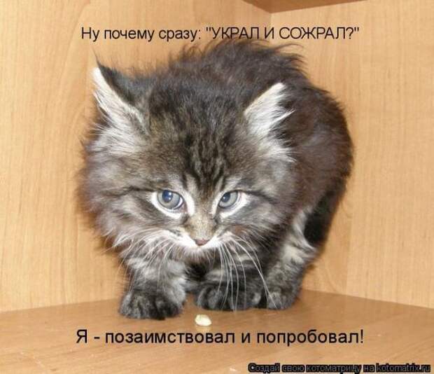 Мысли вслух :)