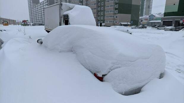 В Барнауле выпало 24% месячной нормы осадков за сутки