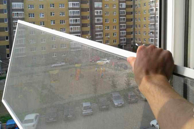 Нужно ли на зиму снимать москитные сетки с окон