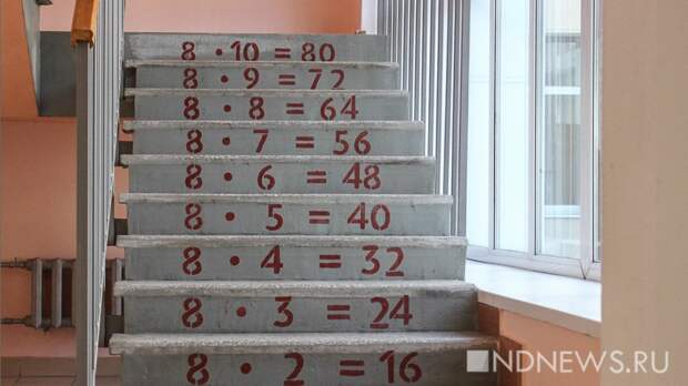 В Санкт-Петербурге учителям раздали методички о «правильной» подаче детям информации о блокаде. Пособие вызвало очень много вопросов