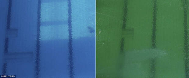 До и после: слева — вода в бассейне во вторник утром, справа — во вторник вечером. Олимпиада 2016, бассейн, коты, плавание, сделай сам