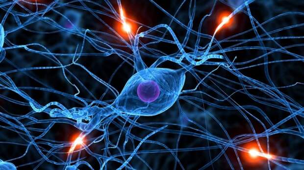 Учеными обнаружен новый вид сигналов в человеческом мозге