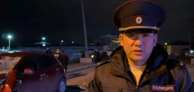 Мужчину и его собаку насмерть сбил водитель на Nissan Leaf в Южно-Сахалинске