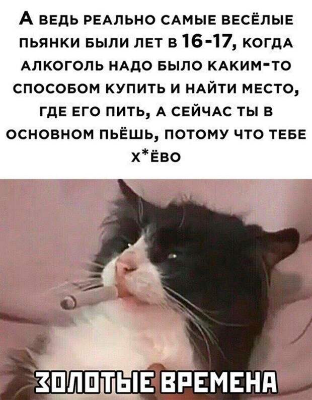 Баянисто-небаянистый юмор