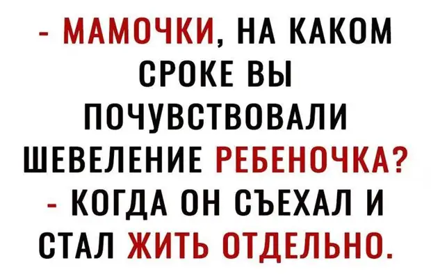 Если позвать собаку, она прибежит. Кошка - примет к сведению. © Мэри Блай Если позвать собаку, она прибежит. Кошка - примет к сведению. © Мэри Блай Карузо, Пикассо, помню, Проходите, почему, ишаке, товарищ, ничего, резко, Вопросов, стриптиз, России, палкой, говорит, дорогой, Идите, знаете, спрашивает, документовАпостол, животные