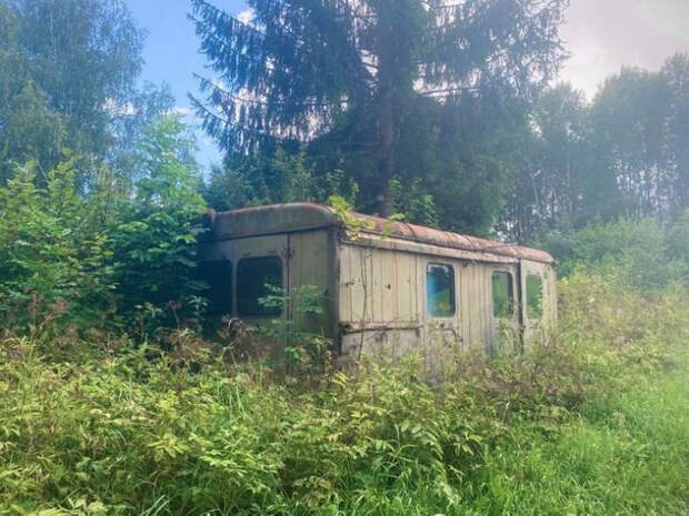 Природа всегда берёт своё обратно на снимках