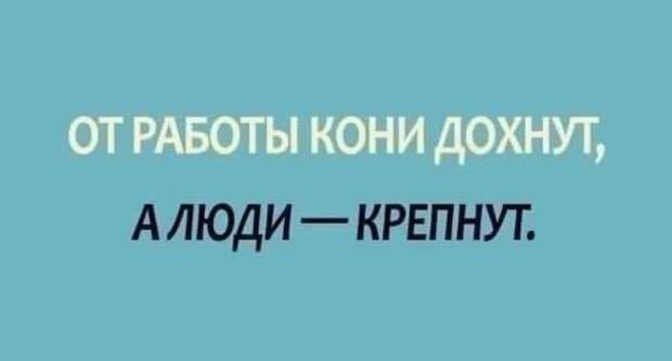 50 известных пословиц и поговорок в их полных версиях