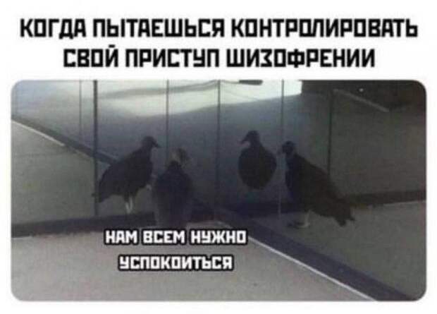 Лучшие шутки и мемы (15 фото)