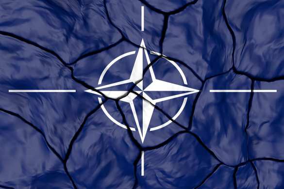 В НАТО ответили на вопрос о расколе из-за Украины | Русская весна