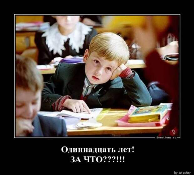 Прикольные демотиваторы с надписями. Подборка chert-poberi-dem-chert-poberi-dem-39000330082020-6 картинка chert-poberi-dem-39000330082020-6
