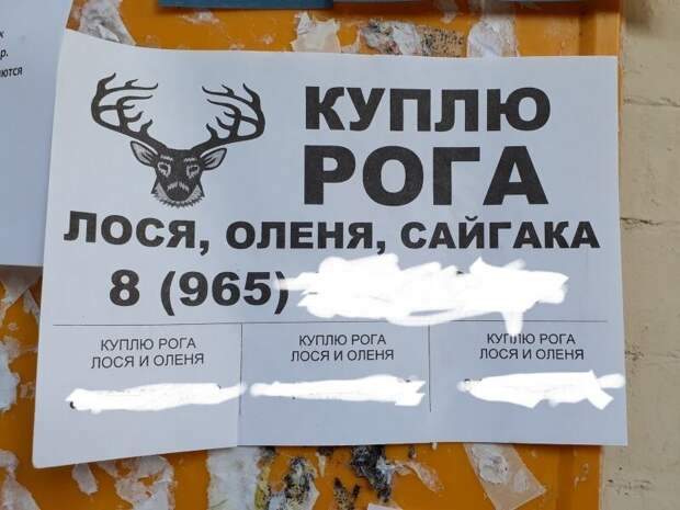Переходим к рогам Переходим к рогам