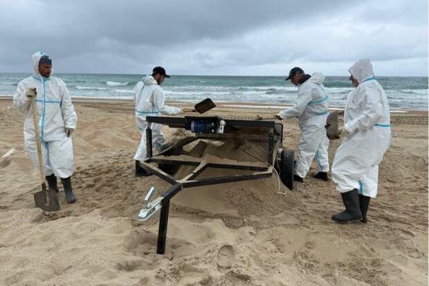 Власти Анапы временно отменили туристический налог
