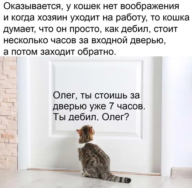 Собираюсь поехать во Францию. Решил подучить арабский бутылку, только, когда, просит, белый, говорит, хозяин, понял, отвечает, такую, подруга, чтобы, водки, умеет, ничего, булочку, спрашивает, такая, девушка, нужна