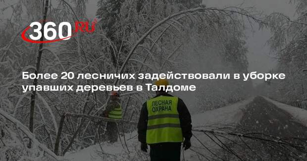 Более 20 лесничих задействовали в уборке упавших деревьев в Талдоме