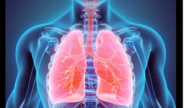 Микропластик впервые обнаружен в легких живых людей