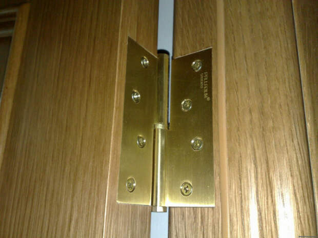 Если дверь скрипит, поможет майонез / Фото: news.myseldon.com