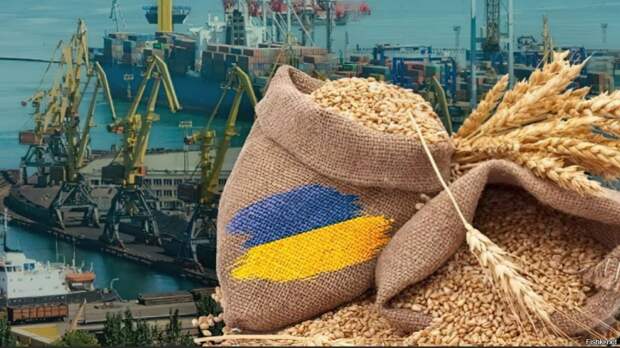ООН пытается добиться от России вернуться к зерновой сделке, позволявшей вывоз украинской сельхозпродукции из...