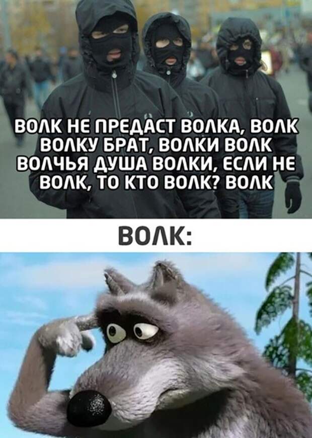 Брат волк. Волк брат Мем. Брат брату волк. Волк волку брат. Волк волку брат Мем.