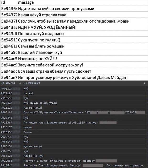Почему аннулировали почти миллион электронных пропусков (18+) Почему аннулировали почти миллион электронных пропусков (18+)