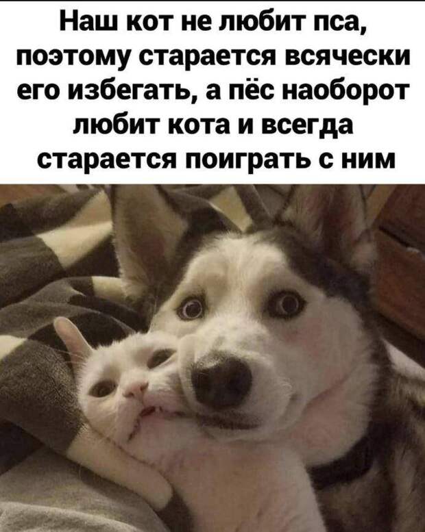 Ржачные картинки с надписями (24)