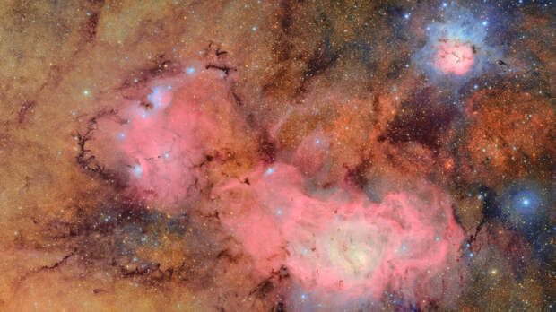 Фото: Лучшие научные снимки 2025 года