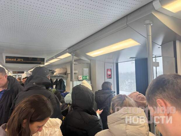 «Ласточка» Москва-Курск застряла под Тулой из-за метели