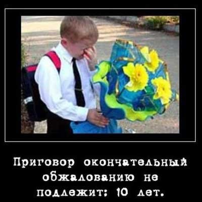 Школьные будни: приколы о годах, проведённых за партой