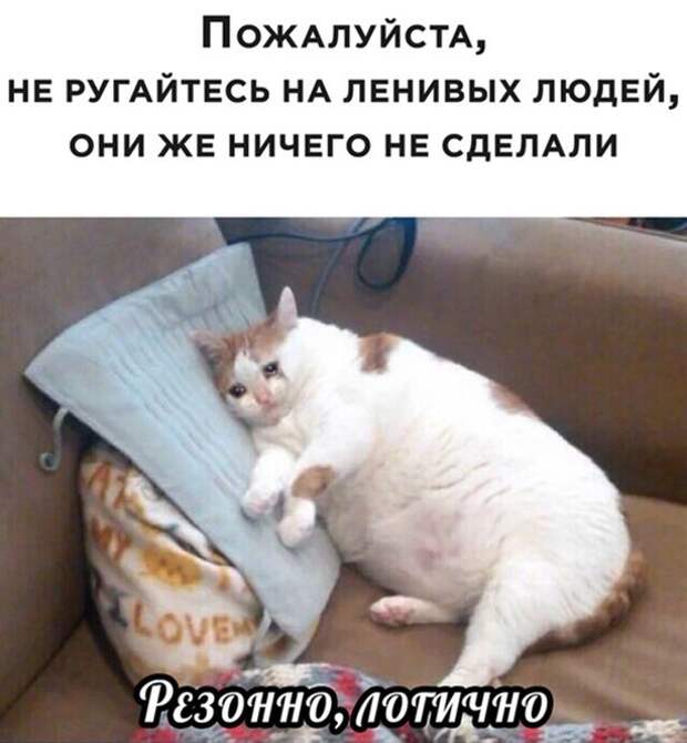 Не ругайтесь)