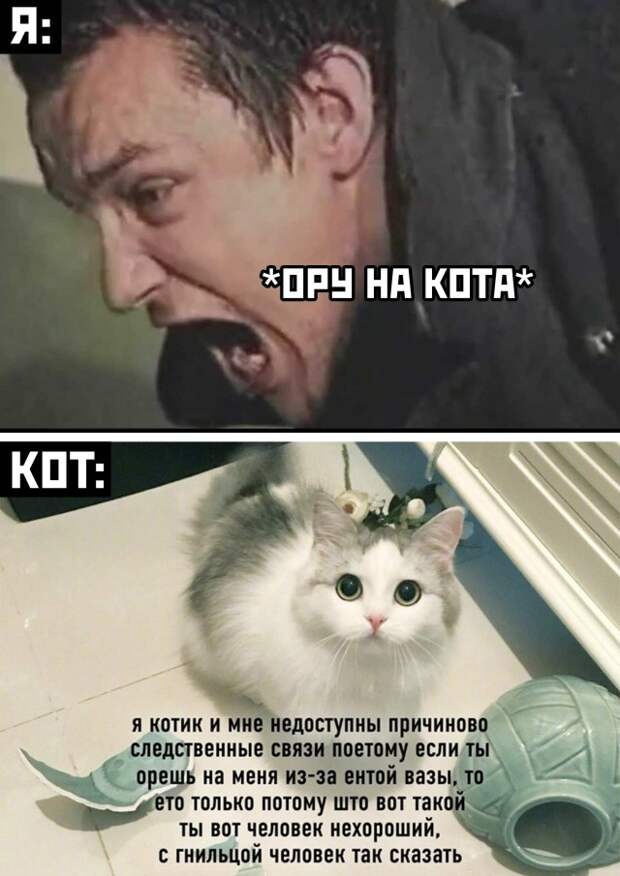 Смешные картинки 31 марта 2021