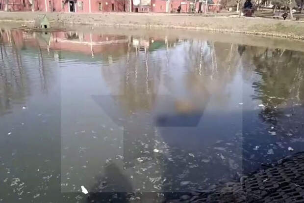 РЕН ТВ: прохожие нашли тело мужчины в Белом пруду в Сергиевом Посаде