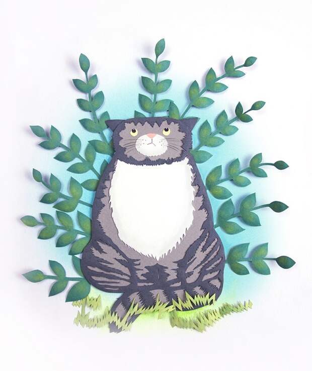 Котик.