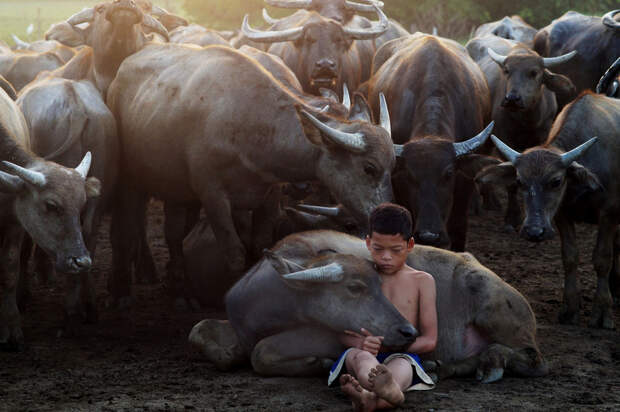Лица в работах победителей конкурса Siena International Photo Awards 2018
