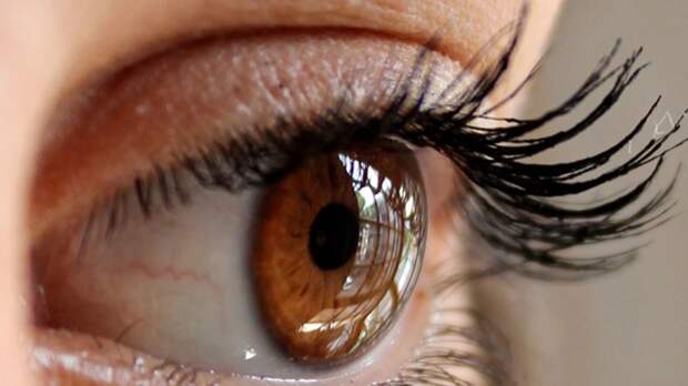 Ученые из США придумали, как диагностировать болезнь Альцгеймера по глазам