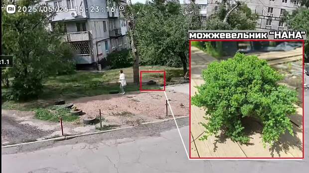 Video: Видео от Анны Лем