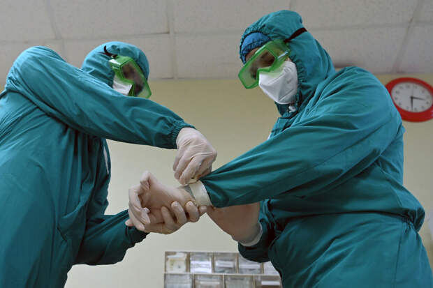 Врач Чернышова: инкубационный период при вирусе Нипах длится до 45 дней