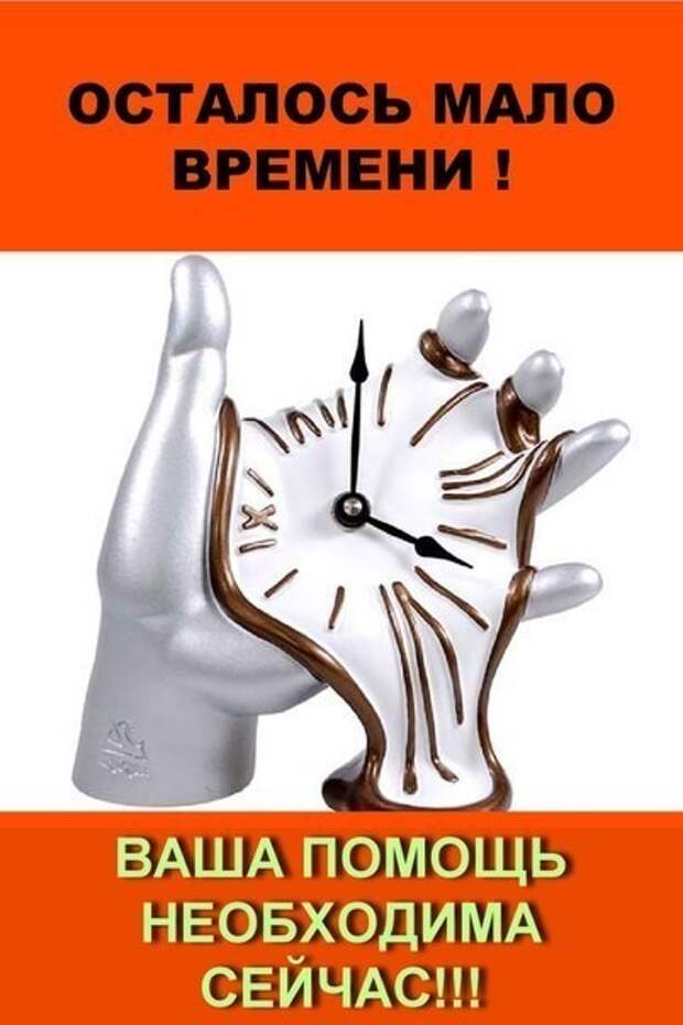 Они вот-вот станут пищей для лисиц... Умоляем, откликнитесь, помогите, потому что это реальный кошмар...