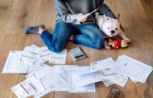 A woman sits on the floor next to her French bulldog and looks at a pile of bills.