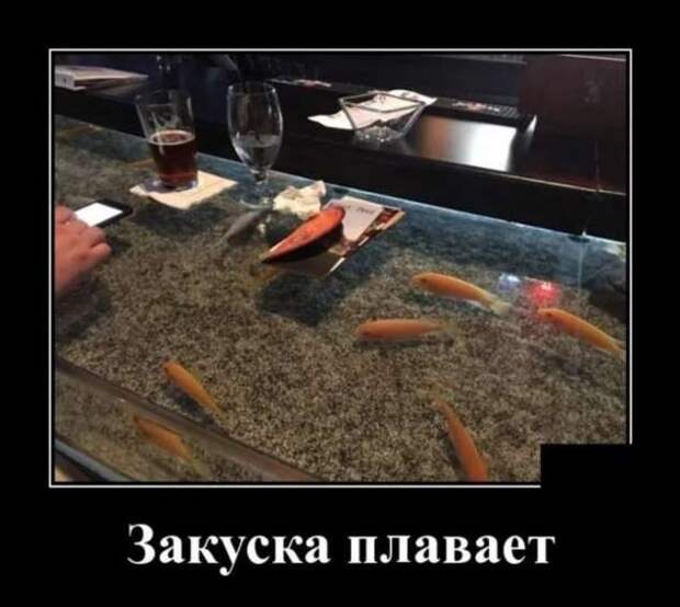 Прикольные демотиваторы с надписями. Подборка chert-poberi-dem-chert-poberi-dem-19320421092020-7 картинка chert-poberi-dem-19320421092020-7