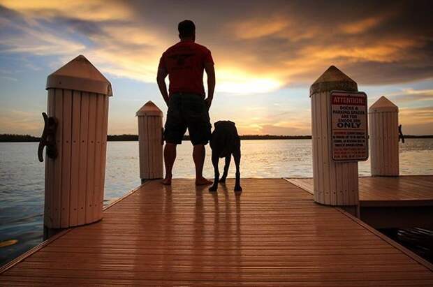 Парень путешествует по США вместе с больной раком собакой животные, путешествие, собака