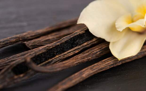 Настоящая ваниль – это стручки орхидеи Vanilla planifolia. /Фото: static.timesofisrael.com Настоящая ваниль – это стручки орхидеи Vanilla planifolia. /Фото: static.timesofisrael.com