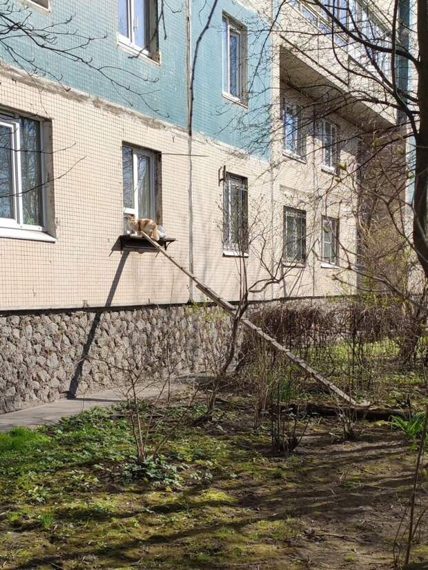 kartinok-interesnyh-prikolnyh-kartinki-smeshnye-kartinki-fotoprikoly