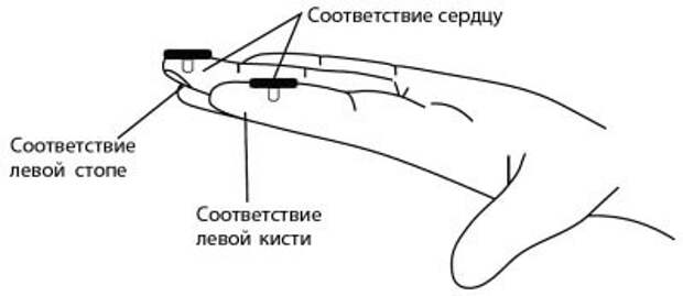 Точки, которые спасут от сердечной боли Точки, которые спасут от сердечной боли