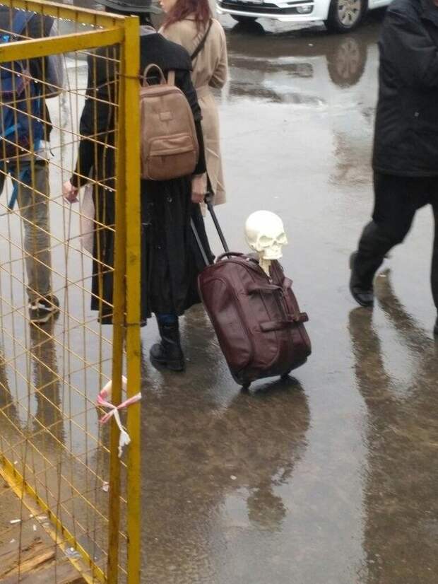 Юмор каждый день. Вам точно понравится!