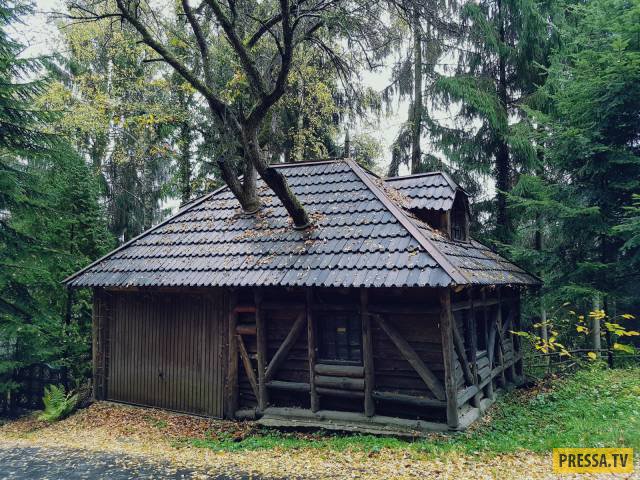 Фотоприколы