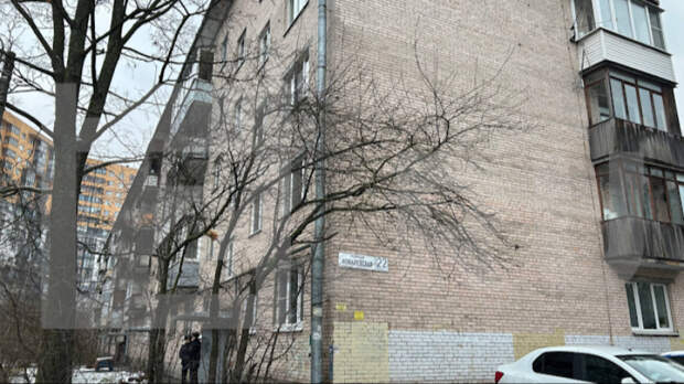 В Петербурге пятиклассница зарезала мать из-за запрета играть в онлайн-игру