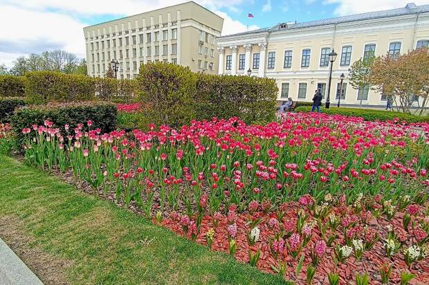 Нижегородцев ждут самые короткие майские праздники за 8 лет