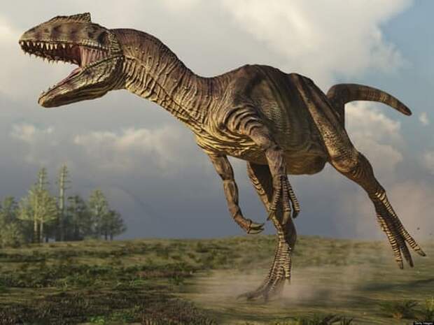 Аллозавр археология, динозавры, страшилища
