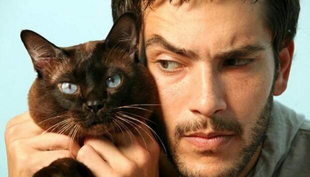 Почему ученые считают, что у каждого мужчины должна быть кошка